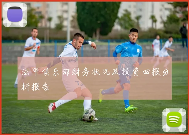 法甲俱乐部财务状况及投资回报分析报告