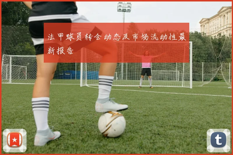 法甲球员转会动态及市场流动性最新报告