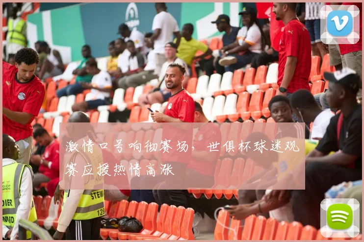 激情口号响彻赛场，世俱杯球迷观赛应援热情高涨