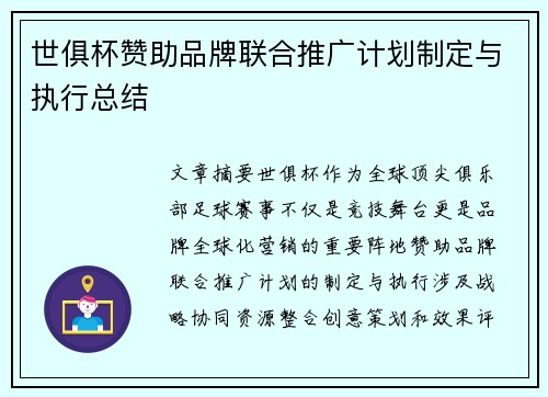 世俱杯赞助品牌联合推广计划制定与执行总结